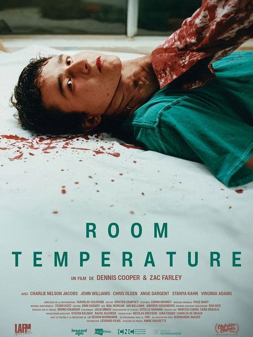 Affiche ROOM TEMPERATURE