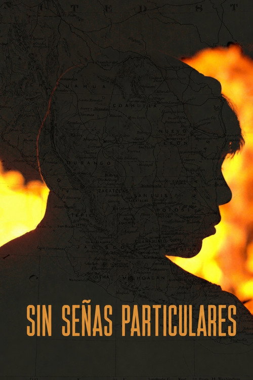 Affiche Sans Signe Particulier