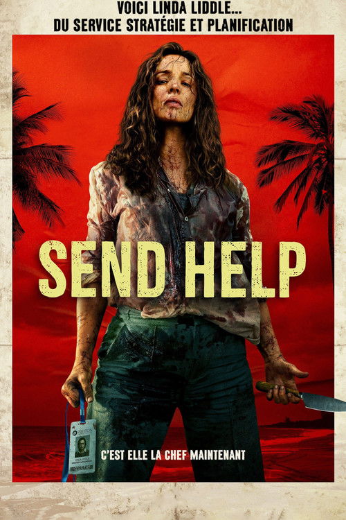Affiche Send Help