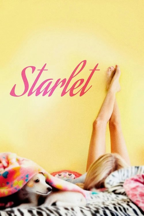 Affiche STARLET