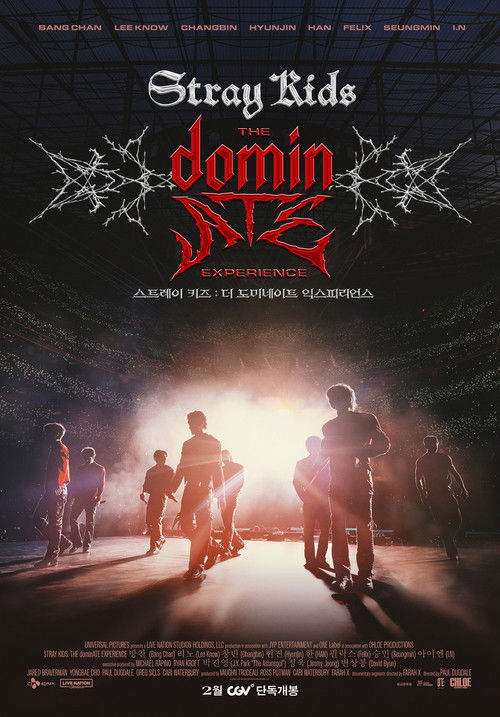Affiche stray kids the dominate