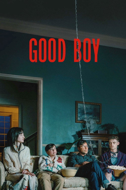 Affiche The Good Boy