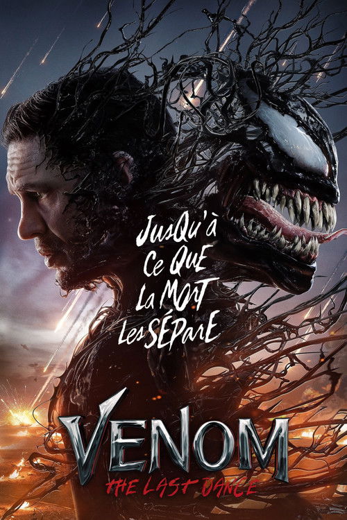 Affiche The Last Dance