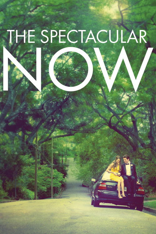Affiche The Spectacular Now