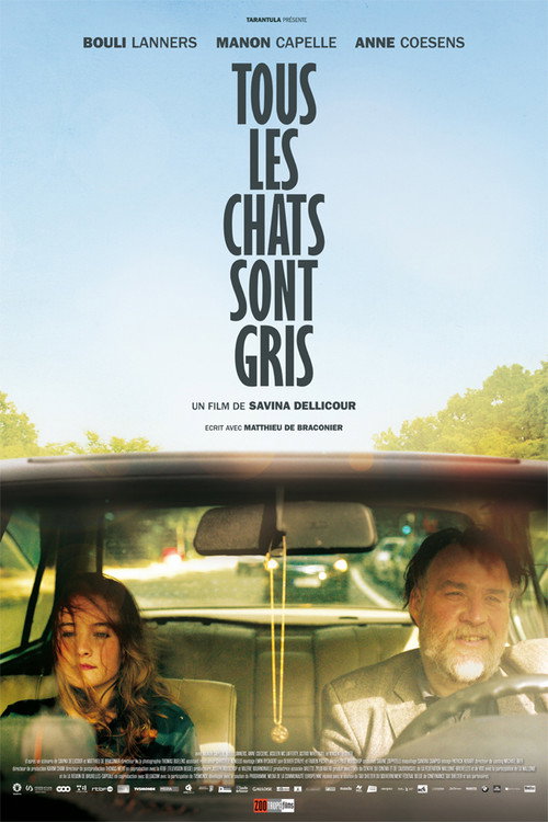 Affiche Tous les chats sont gris