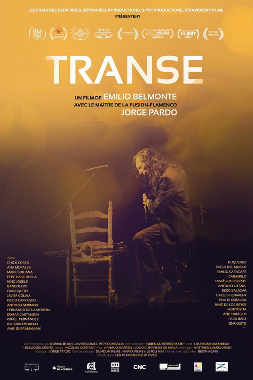 Affiche Transe
