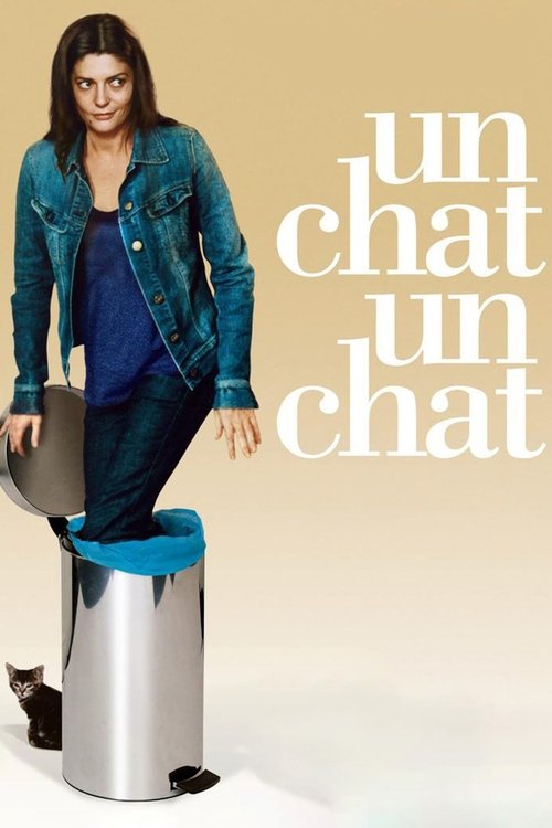Affiche Un chat un chat