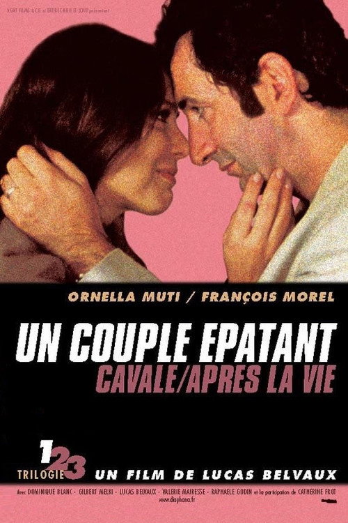 Affiche Un couple épatant