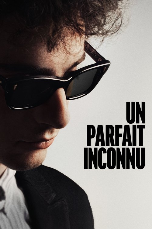 Affiche Un parfait inconnu