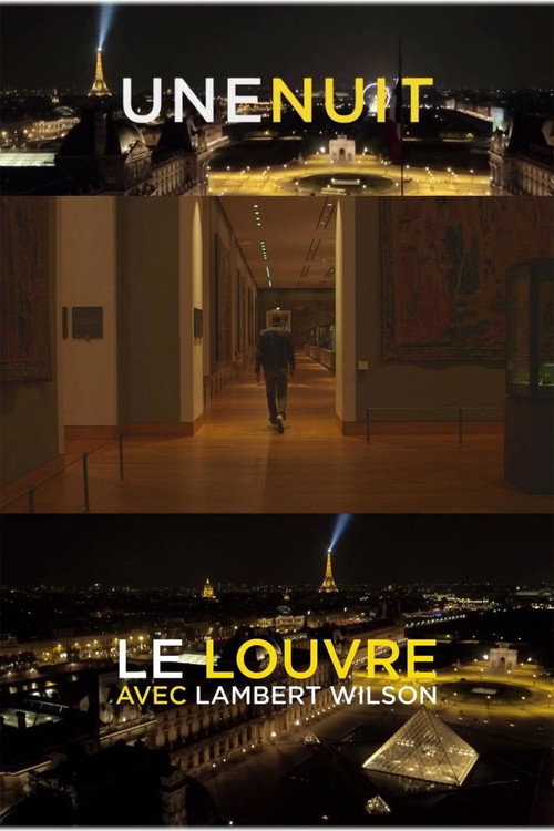 Affiche Une nuit, le Louvre avec Lambert Wilson