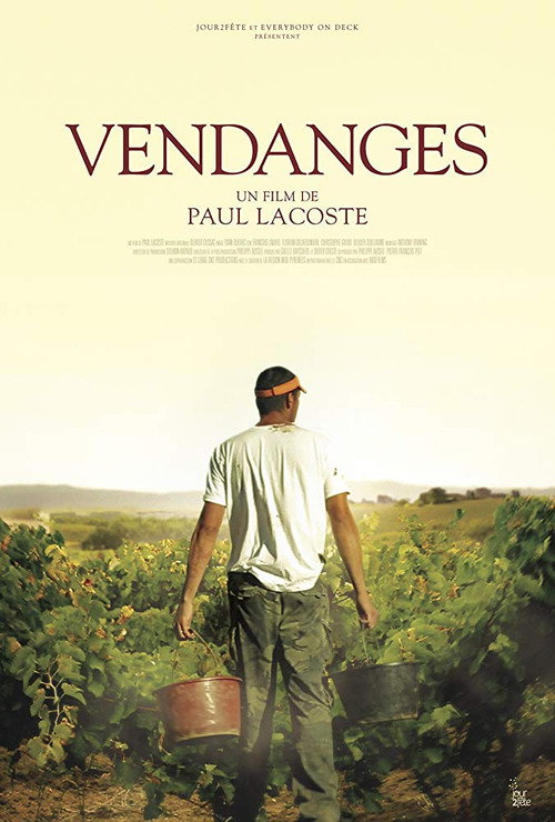 Affiche Vendanges