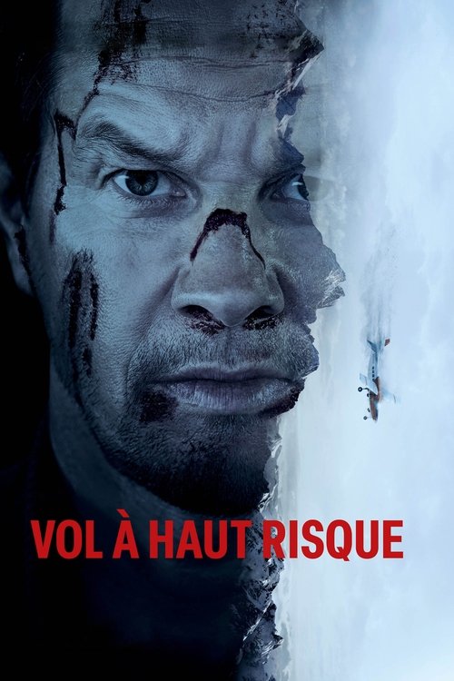 Affiche Vol à haut risque