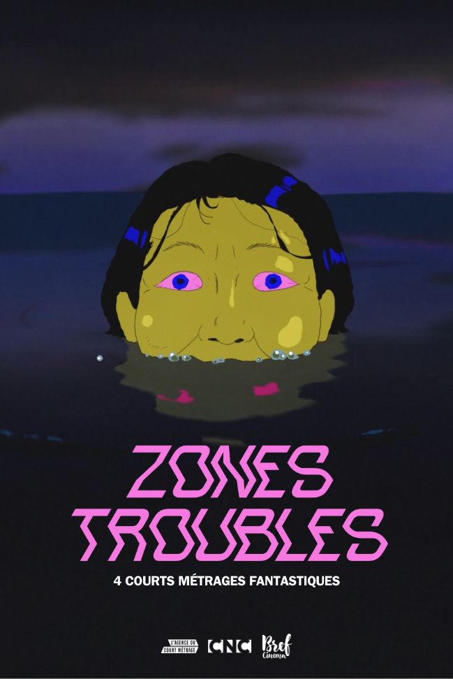 Affiche Zones Troubles